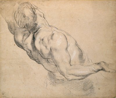 Study of a Nude Male Torso by Peter Paul Rubens