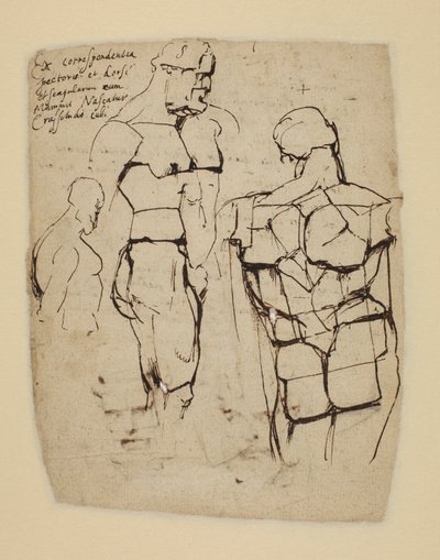 Study of the Farnese Hercules by Peter Paul Rubens