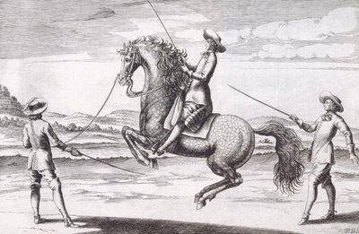 Illustration of a horse en Croupade from New Treatise for Breeding Horses written by Winters, Stuterey and Reit-Schul, pub. 1672 by Peter Paul Troschel
