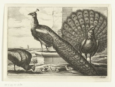 Peacocks by Peter van Liesebetten