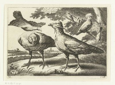 Geese and a Cockatoo by Peter van Liesebetten