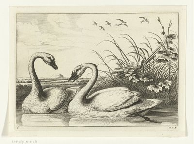 Two Swans (Various Birds series) by Peter van Liesebetten