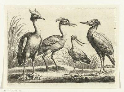 Four Wading Birds by Peter van Liesebetten