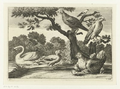 Swan, Hen with Chicks, and Other Birds by Peter van Liesebetten