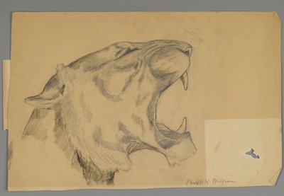 Head of a Roaring Lion by Philip H. Wolfrom