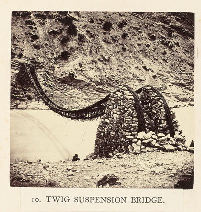 Twig Suspension Bridge by Philip Henry Egerton