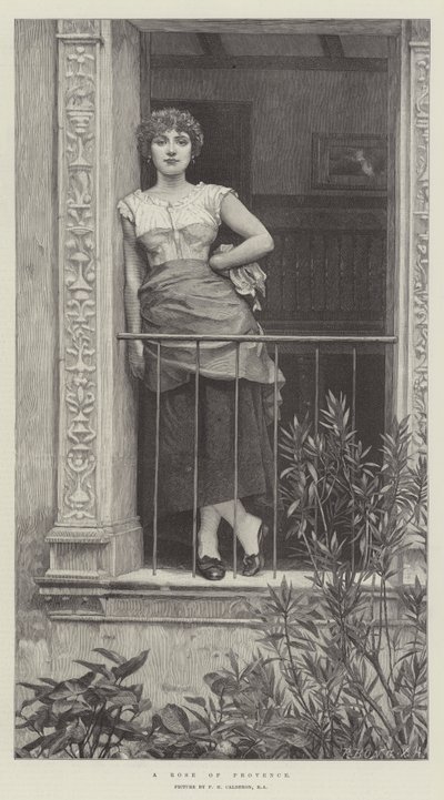 A Rose of Provence by Philip Hermogenes Calderon