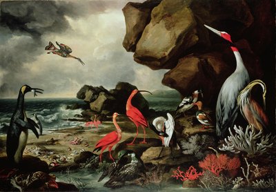 A Penguin, a Pair of Flamingoes, and Other Exotic Birds, Shells, and Coral on the Shoreline by Philip Reinagle