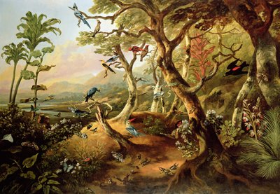 Exotic Birds and Insects Among Trees and Foliage in a Mountainous River Landscape by Philip Reinagle