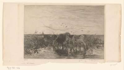 Cows by Water in a Meadow by Philip Zilcken (signed by artist)