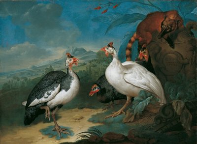 Guinea Fowl and Coati by Philipp Ferdinand de Hamilton