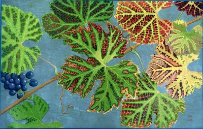 Autumn Leaves, by Philippe Robert, editions Robert Ried by Philippe Robert