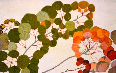 European Aspen by Philippe Robert