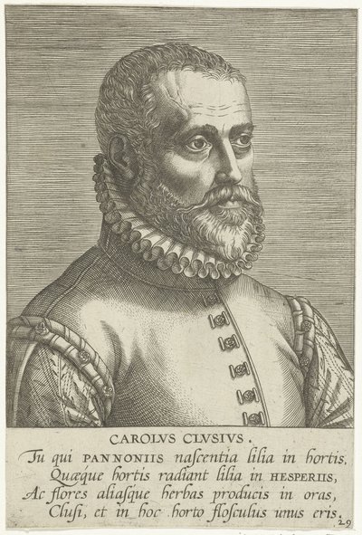 Portrait of Carolus Clusius by Philips Galle