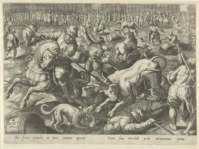 Bullfight by Philips Galle