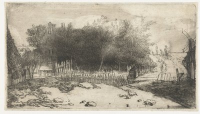 Landscape with a White Fence by Philips Koninck