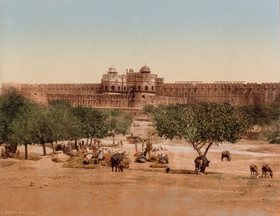 Agra. The Fort by Photoglob Co. (Zurich, active c. 1890 1910)