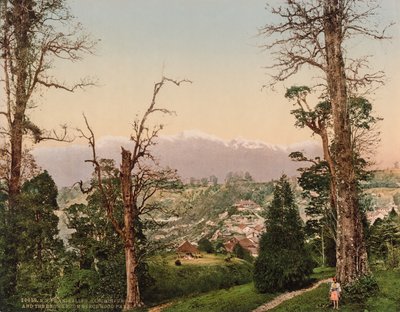 Darjeeling. Kinchinjunga and the Snows from Beechwood Park by Photoglob Co. (Zurich, active c. 1890 1910)
