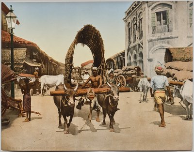 India. Ceylon. Colombo. Street Scene, after photo by Dr. Kurt Boeck by Photoglob Co. (Zurich, active c. 1890 1910)