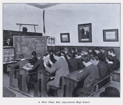 A Wool Class, Sale Agricultural High School by Photographer Australian