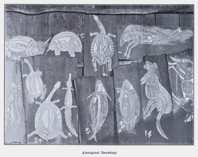 Aboriginal Drawings by Photographer Australian