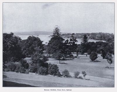 Botanic Gardens, Farm Cove, Sydney by Photographer Australian