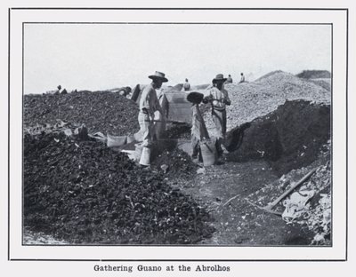 Gathering Guano at the Abrolhos by Photographer Australian