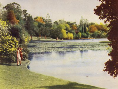 Melbourne Botanical Gardens by Photographer Australian
