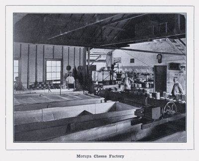 Moruya Cheese Factory by Photographer Australian
