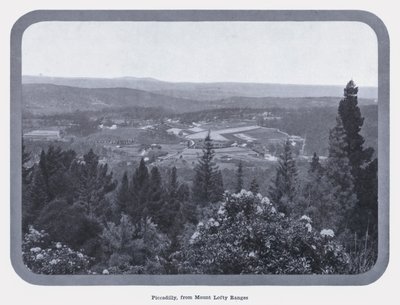 Piccadilly, from Mount Lofty Ranges by Photographer Australian