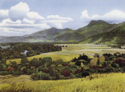 Queensland, Australia: Sugar Lands at Mossman by Photographer Australian