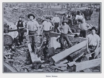 Timber Workers by Photographer Australian