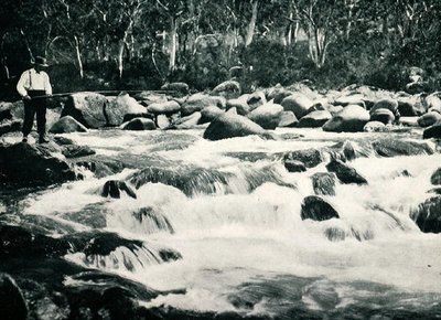 Trout rapids in Snowy River, Jindabyne, New South Wales, c.1900, from Under the Southern Cross - Glimpses of Australia, published by Department of External Affairs, Melbourne by Photographer Australian