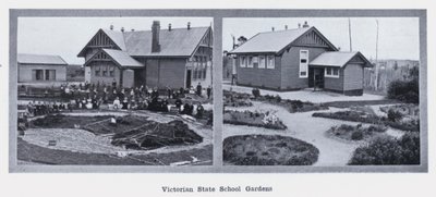 Victorian State School Gardens by Photographer Australian