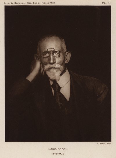 Ernest Marie Louis Bedel, French Entomologist by Photographer French