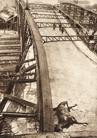 Breakthrough of the Allied armies in Eastern Galicia: footbridge over railway blasted by Russians in Ternopil by Photographer German