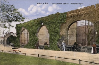 Cologne Zoo, Bears by Photographer German