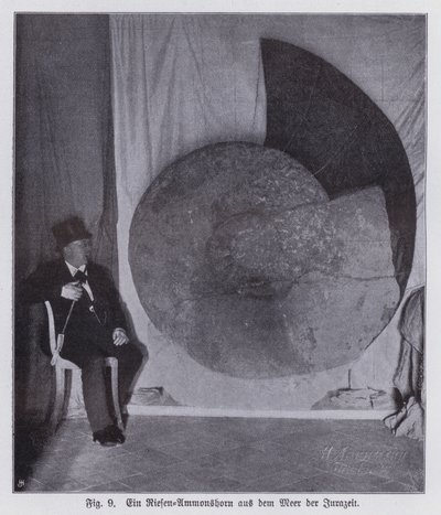 Fossil of a giant ammonite, marine creature of the Jurassic period by Photographer German