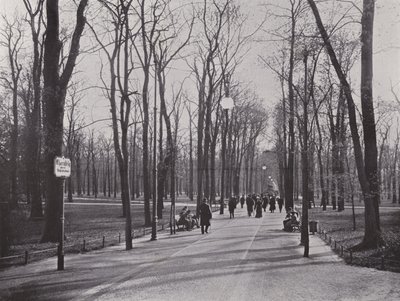 In the Tiergarten, Maple Path by Photographer German