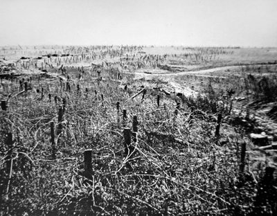 WWI Barbed Wire Defences of German Beaurevoir Position, Part of the Hindenburg Line by Photographer German