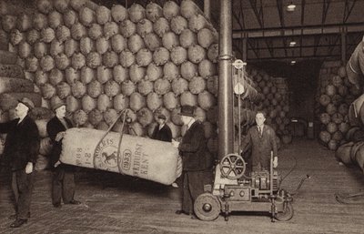Hops in Store, St James