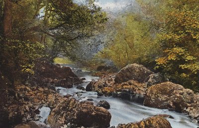 Ireland: In The Dargle, County Wicklow by Photographer Irish