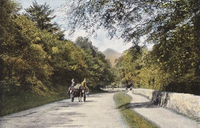 Ireland: The Glen of the Downs, Sugar Loaf Mountain, County Wicklow by Photographer Irish