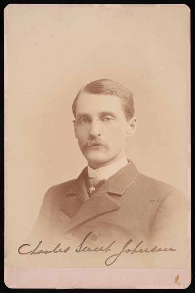 Portrait of Charles Sweet Johnson, 1870-1871 by Photographic Art Company
