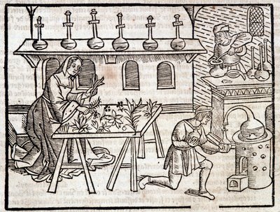 Medicine through plants and their virtues - in Des profits champêtres et ruraux by Pierre de Crescent, Paris by Piero da Crescentino