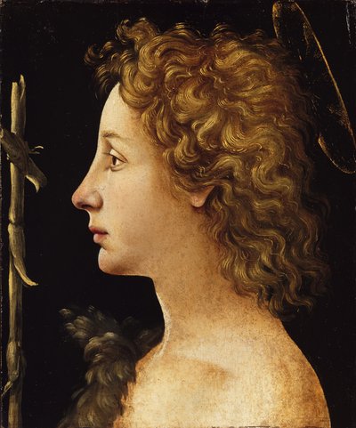 The Young Saint John the Baptist by Piero di Cosimo