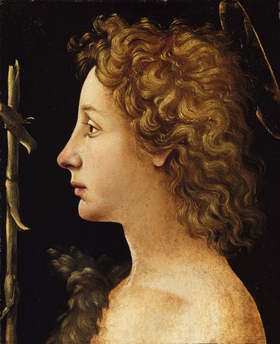 The Young Saint John the Baptist by Piero di Cosimo