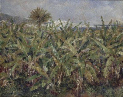 Banana Field by Pierre-Auguste Renoir