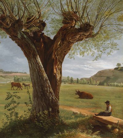 Pollard Willow by Pierre Jean Boquet