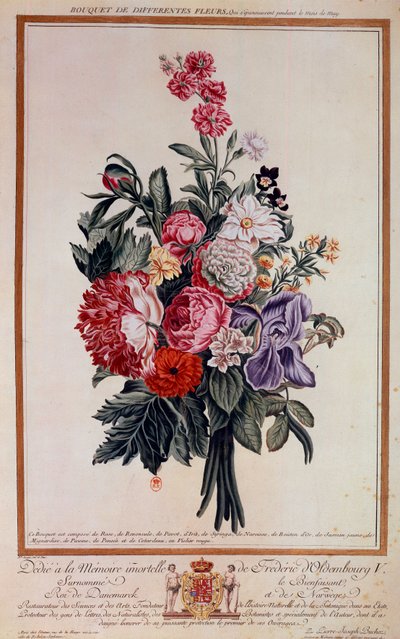 Bouquet of Flowers Lithograph by Pierre Joseph by Pierre Joseph Buchoz
